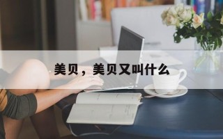 美贝，美贝又叫什么