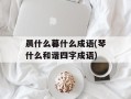 晨什么暮什么成语(琴什么和谐四字成语)