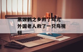 黑颈鹤之乡救了鸟儿 外国老人救了一只鸟视频