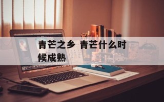 青芒之乡 青芒什么时候成熟