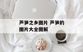芦笋之乡图片 芦笋的图片大全图解