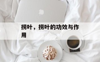 捞叶，捞叶的功效与作用