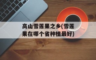高山雪莲果之乡(雪莲果在哪个省种植最好)