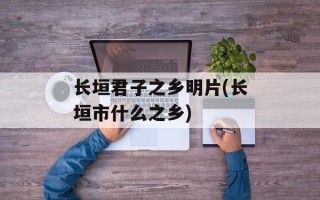 长垣君子之乡明片(长垣市什么之乡)