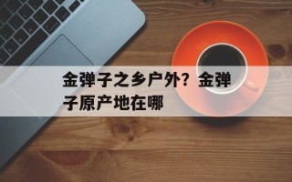 金弹子之乡户外？金弹子原产地在哪