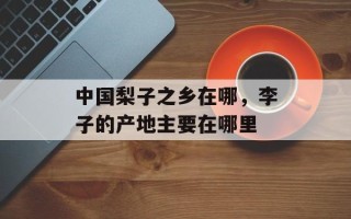 中国梨子之乡在哪，李子的产地主要在哪里