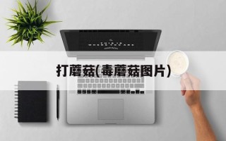 打蘑菇(毒蘑菇图片)