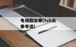 电视剧女拳(tvb女拳粤语)