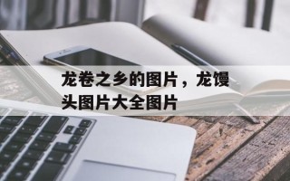 龙卷之乡的图片，龙馒头图片大全图片