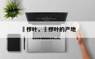 桲椤叶，桲椤叶的产地
