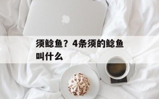须鲶鱼？4条须的鲶鱼叫什么