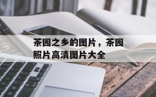 茶园之乡的图片，茶园照片高清图片大全