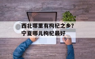 西北哪里有枸杞之乡？宁夏哪儿枸杞最好