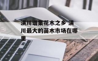 潢川谱集花木之乡 潢川最大的苗木市场在哪里