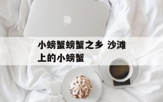 小螃蟹螃蟹之乡 沙滩上的小螃蟹