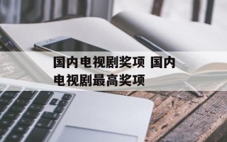 国内电视剧奖项 国内电视剧最高奖项