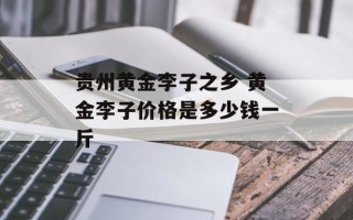 贵州黄金李子之乡 黄金李子价格是多少钱一斤