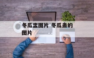 冬瓜盅图片 冬瓜蛊的图片