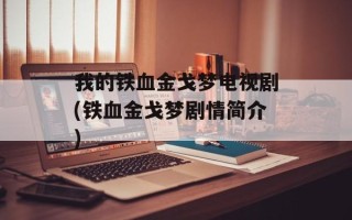 我的铁血金戈梦电视剧(铁血金戈梦剧情简介)