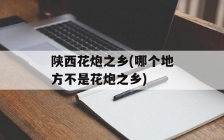 陕西花炮之乡(哪个地方不是花炮之乡)