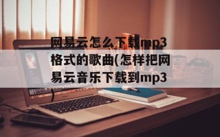 网易云怎么下载mp3格式的歌曲(怎样把网易云音乐下载到mp3)