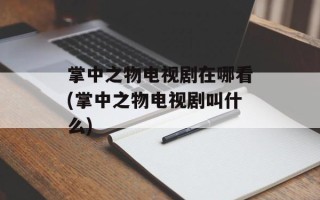 掌中之物电视剧在哪看(掌中之物电视剧叫什么)