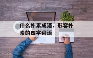 什么朴素成语，形容朴素的四字词语