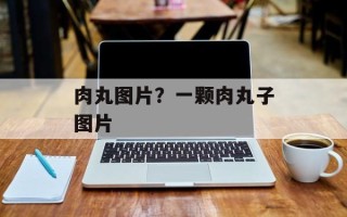 肉丸图片？一颗肉丸子图片