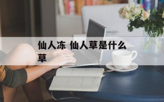 仙人冻 仙人草是什么草
