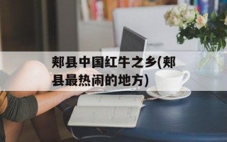 郏县中国红牛之乡(郏县最热闹的地方)