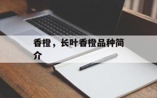香橙，长叶香橙品种简介