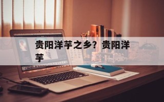 贵阳洋芋之乡？贵阳洋芋