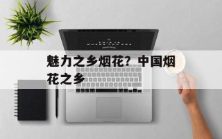 魅力之乡烟花？中国烟花之乡