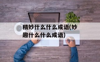 精妙什么什么成语(妙趣什么什么成语)