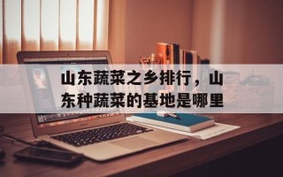 山东蔬菜之乡排行，山东种蔬菜的基地是哪里
