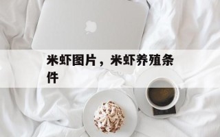 米虾图片，米虾养殖条件