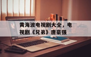 黄海波电视剧大全，电视剧《兄弟》唐豪强