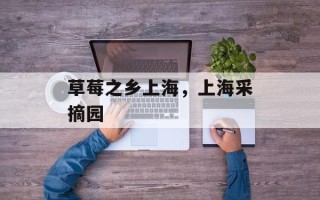 草莓之乡上海，上海采摘园