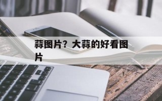 蒜图片？大蒜的好看图片