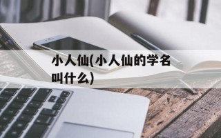 小人仙(小人仙的学名叫什么)