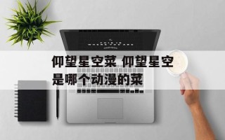 仰望星空菜 仰望星空是哪个动漫的菜