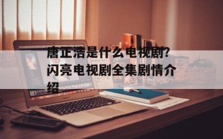 唐正浩是什么电视剧？闪亮电视剧全集剧情介绍