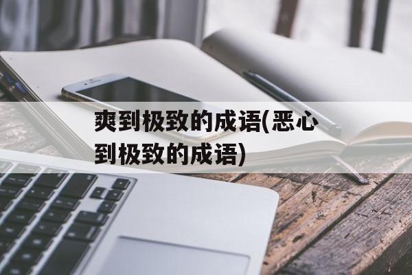 爽到极致的成语(恶心到极致的成语)-第1张图片-