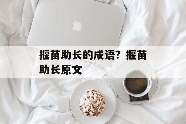 揠苗助长的成语？揠苗助长原文-第1张图片-