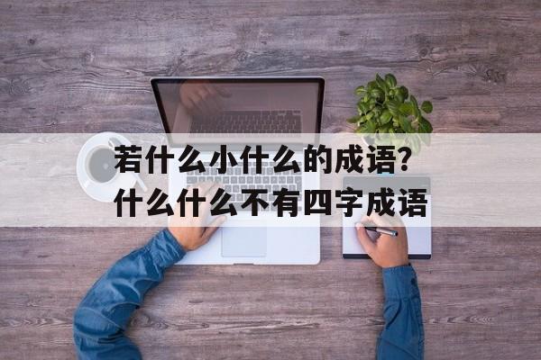 若什么小什么的成语？什么什么不有四字成语-第1张图片-