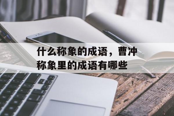 什么称象的成语，曹冲称象里的成语有哪些-第1张图片-