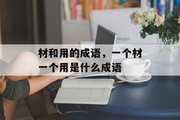 材和用的成语，一个材一个用是什么成语-第1张图片-