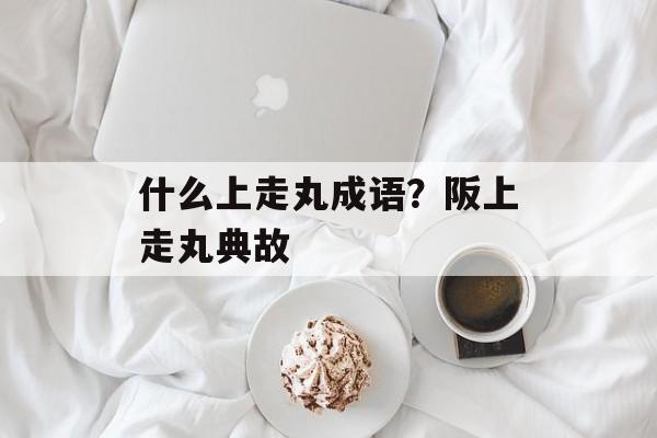 什么上走丸成语？阪上走丸典故-第1张图片-