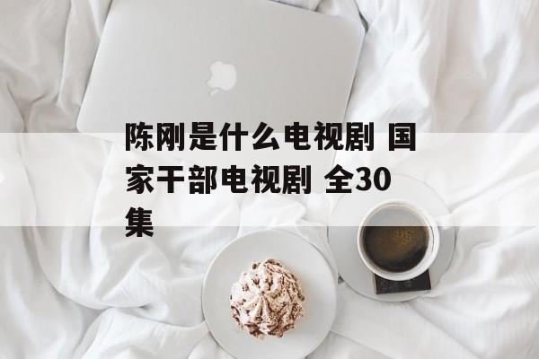 陈刚是什么电视剧 国家干部电视剧 全30集-第1张图片-