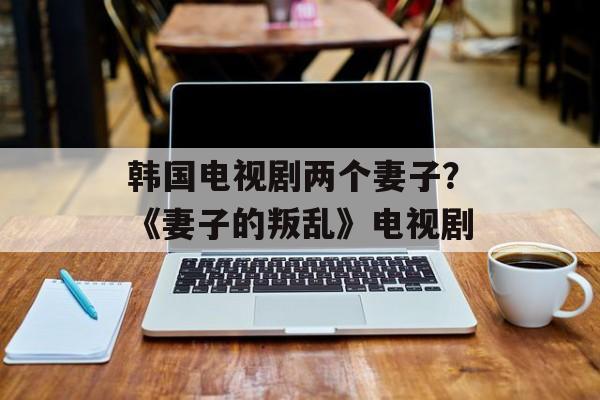 韩国电视剧两个妻子？《妻子的叛乱》电视剧-第1张图片-